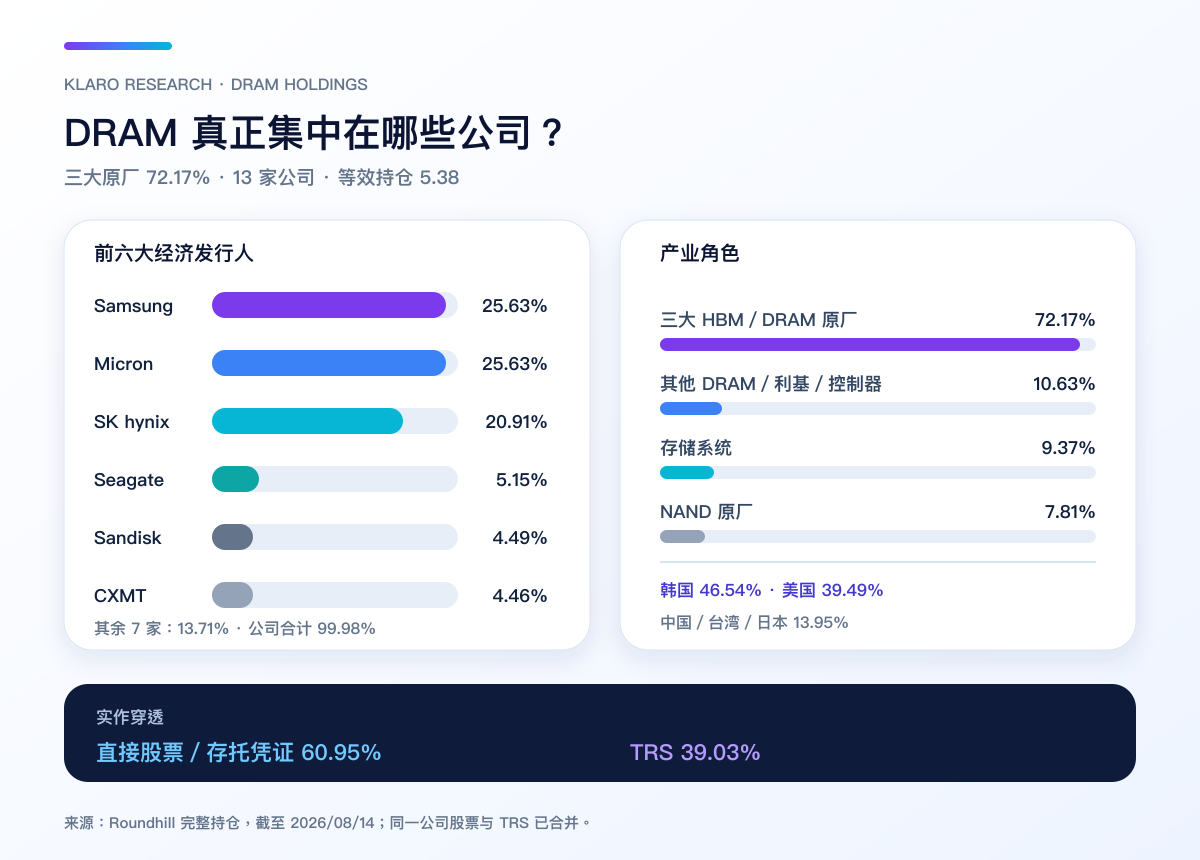 DRAM 的前十大经济持仓、产业角色、地域与股票/TRS 实作