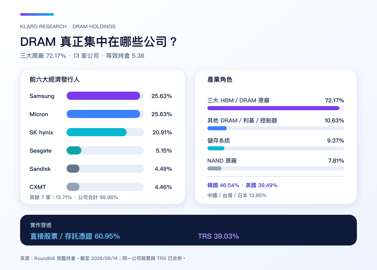 DRAM 的前十大經濟持倉、產業角色、地域與股票/TRS 實作